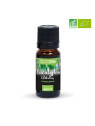 HUILE ESSENTIELLE EUCALYPTUS GLOBULUS 10ML Certifiée Bio