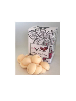 LOT DE 12 GALETS 50GR ASTERIA