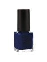 VERNIS A ONGLES 1001 NUITS PAILLETE